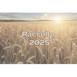 € 0,24/Kg