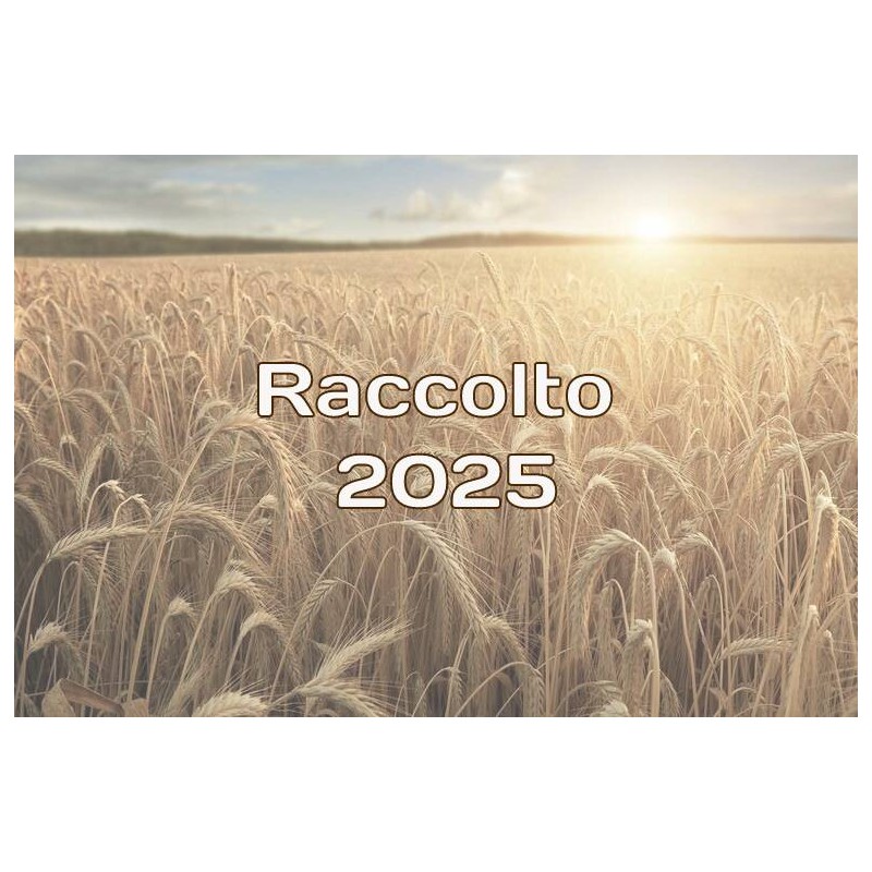 € 0,195/kg (Sotto trebbia)